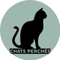 Chats Perchés
